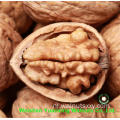 Hoge Qulit Walnut Kernels Lichte stukken te koop